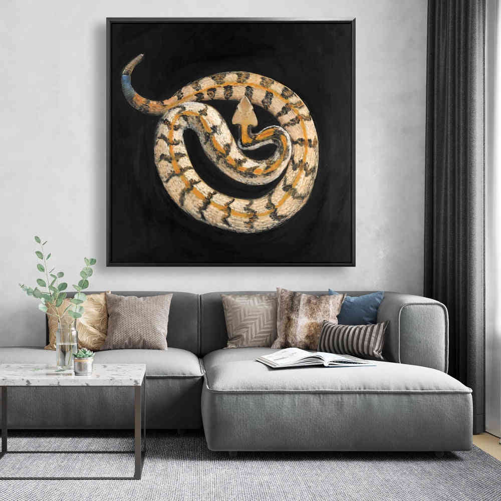 Southern Timber Rattlesnake Fine Art Gallery Wrapped Canvas 36x36