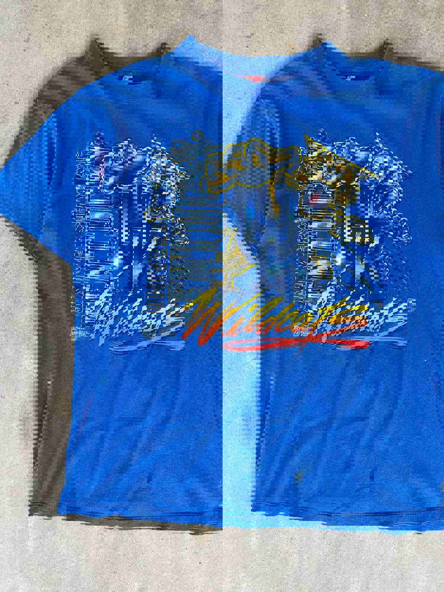 1990s Kentucky Wildcats Vintage T-Shirt - Well Worn