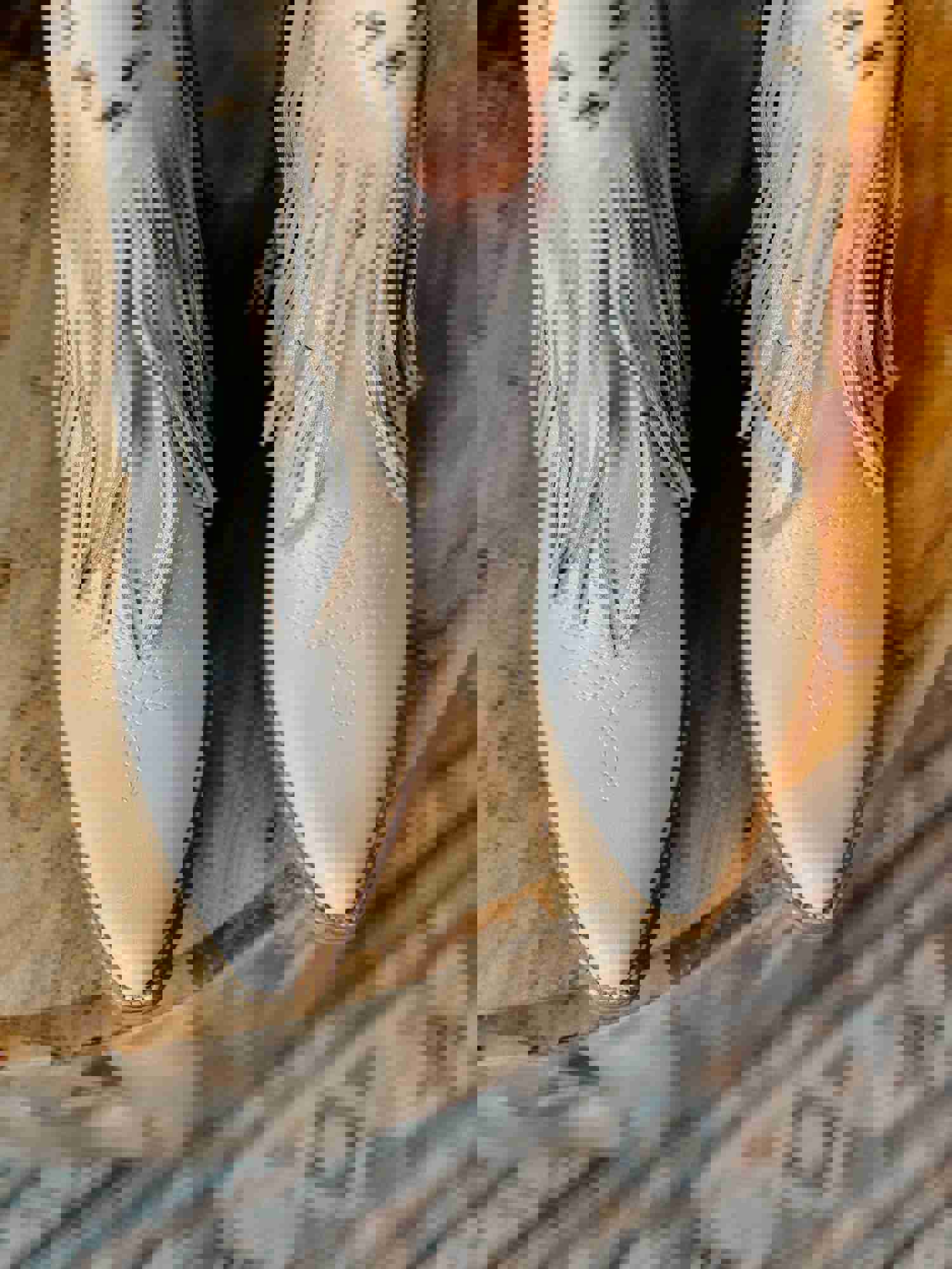 Grey Fringe Western Boots