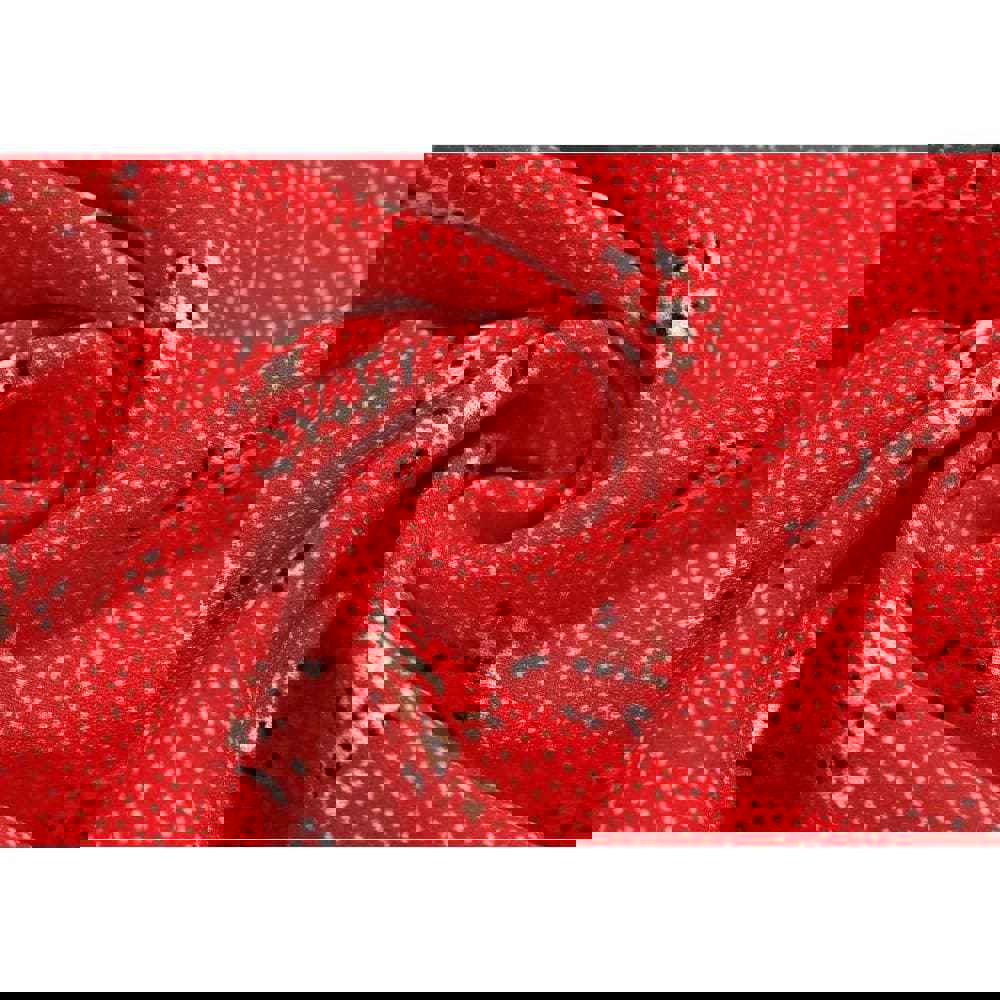 Fashion Chic Floral Dress - Vintage A-Line Polyester Dress with V-Neck