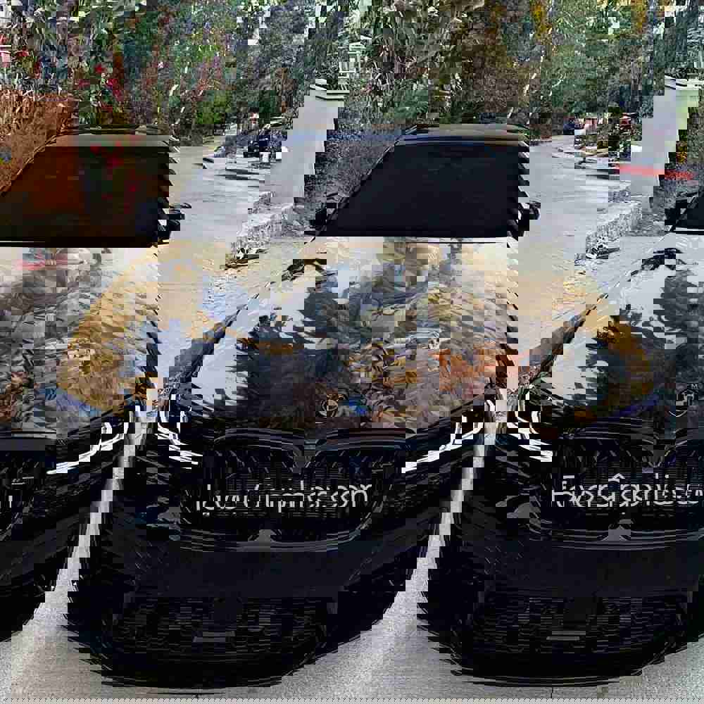 Star Wars Boba Fett Itasha Car Vinyl Hood Wrap Decal Sticker