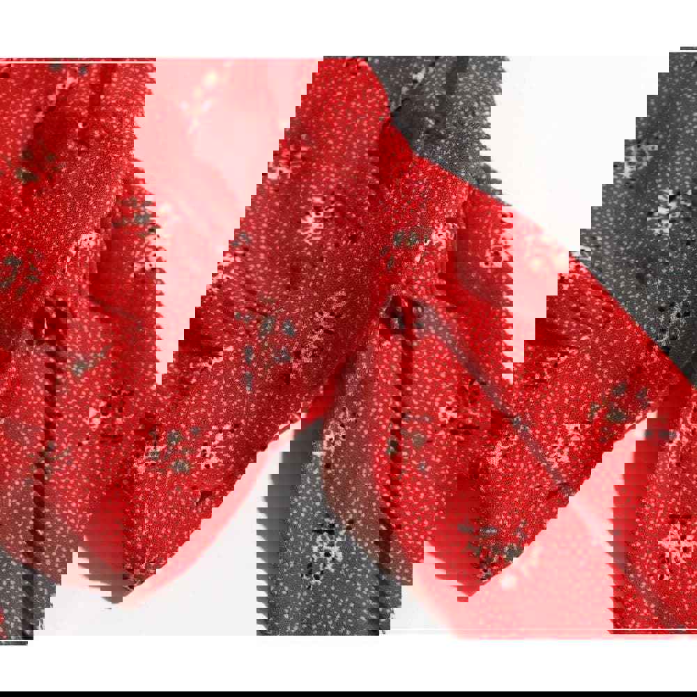 Fashion Chic Floral Dress - Vintage A-Line Polyester Dress with V-Neck