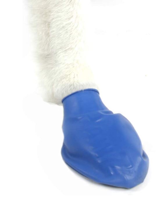 PawZ Dog Boots - Waterproof Snow Boots for Dogs (12 Pack)