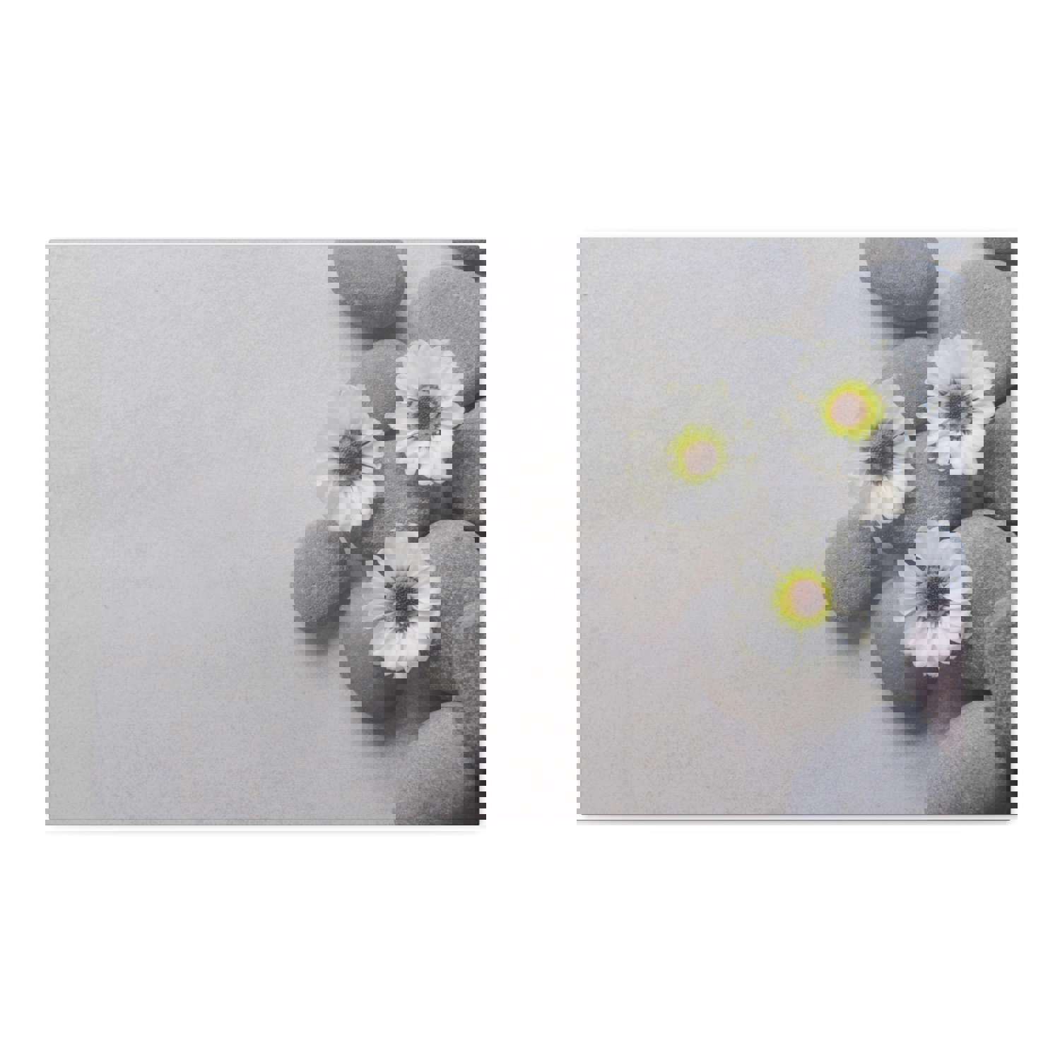 Three White Flower Forest Floral Nature Photography Canvas Wall Art for Home Decor