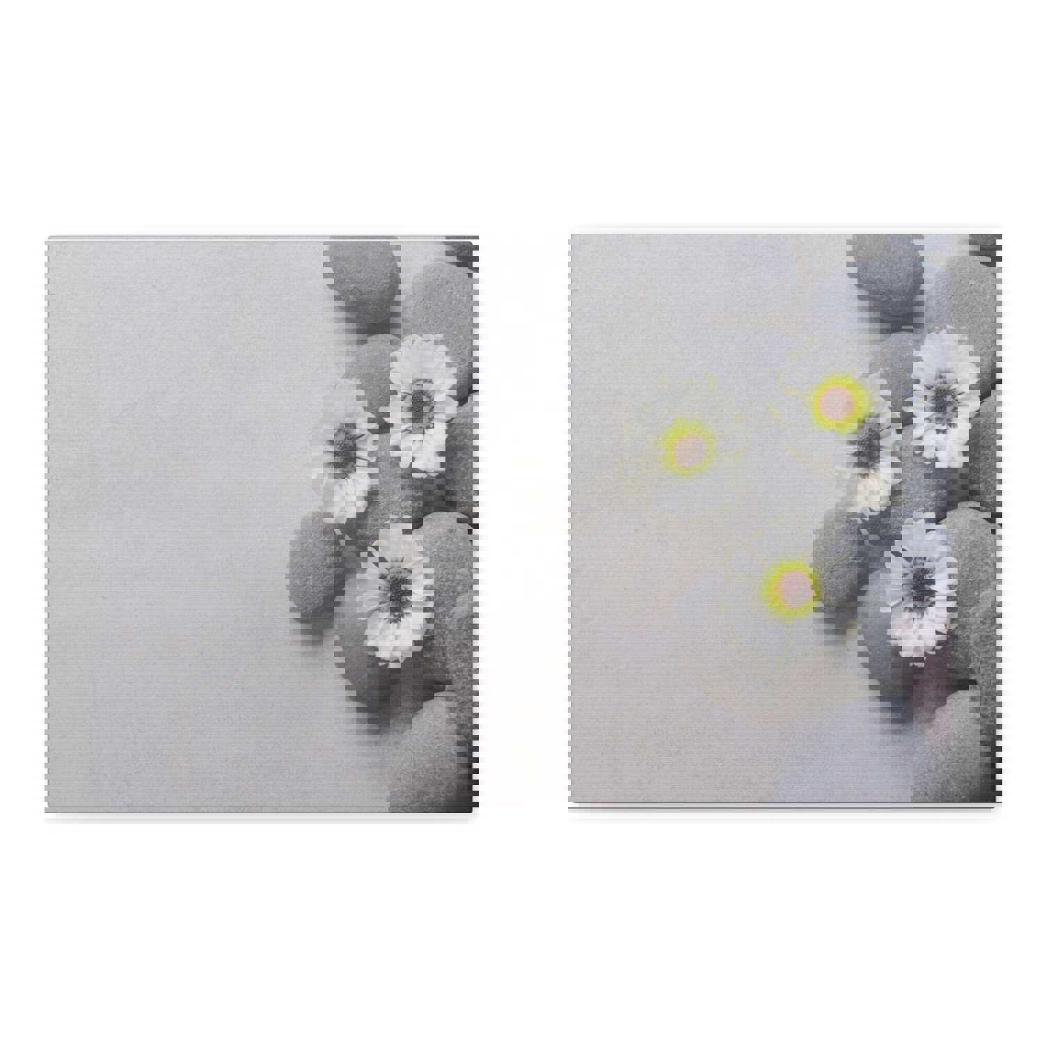 Three White Flower Forest Floral Nature Photography Canvas Wall Art for Home Decor