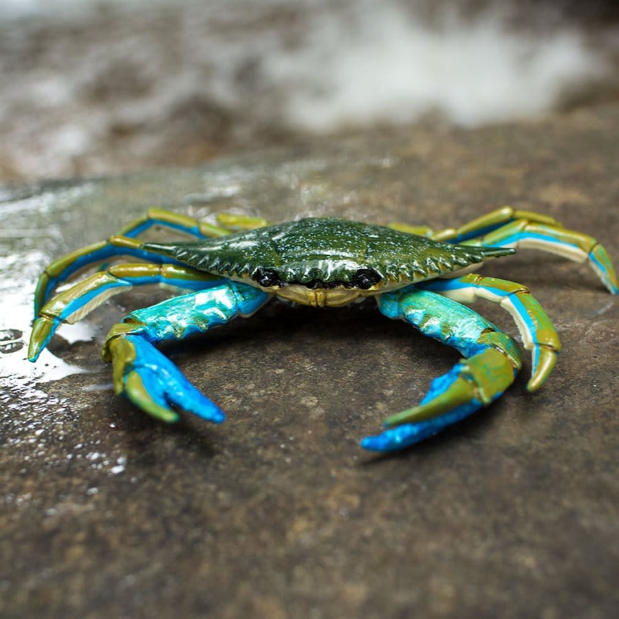Blue Crab Toy - Hand Painted & Professionally Designed