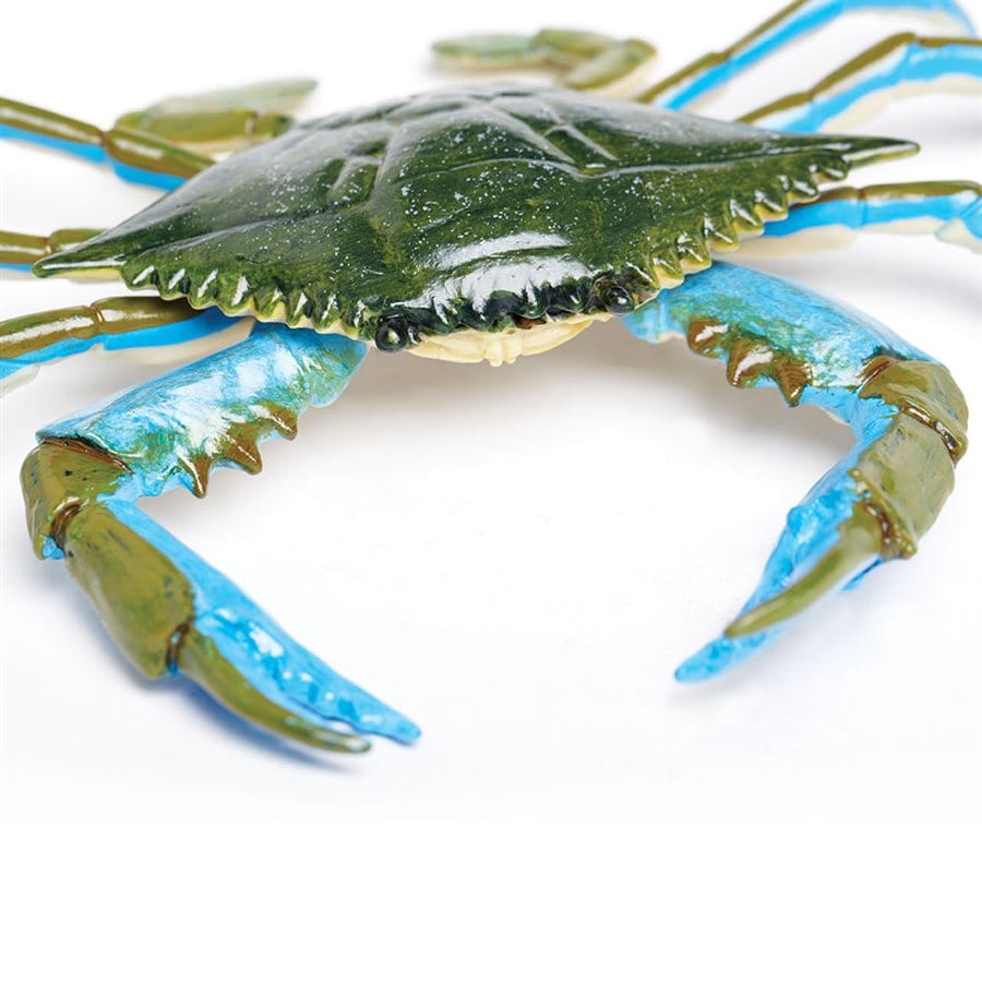 Blue Crab Toy - Hand Painted & Professionally Designed