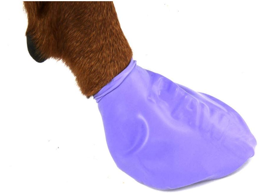 PawZ Dog Boots - Waterproof Snow Boots for Dogs (12 Pack)