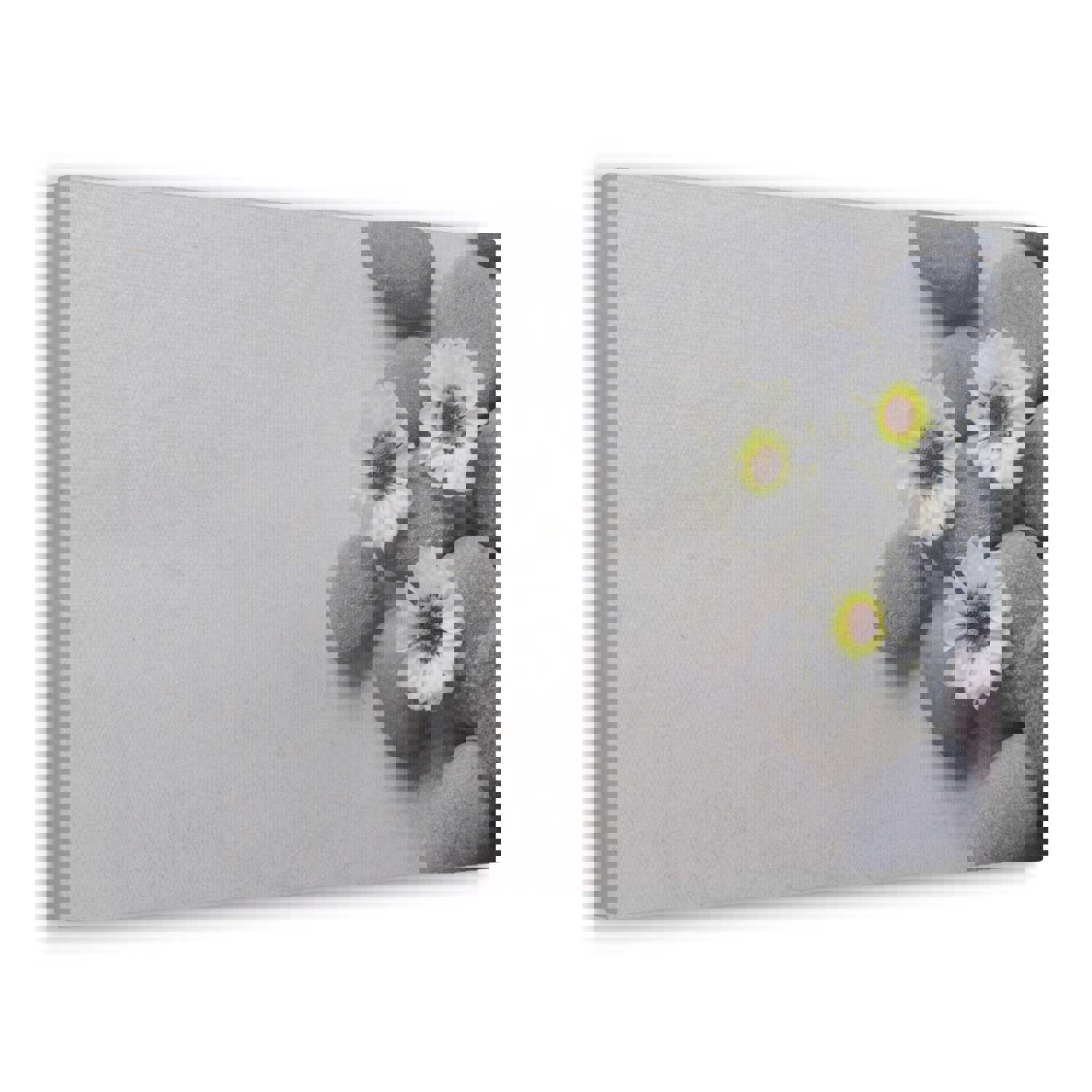 Three White Flower Forest Floral Nature Photography Canvas Wall Art for Home Decor