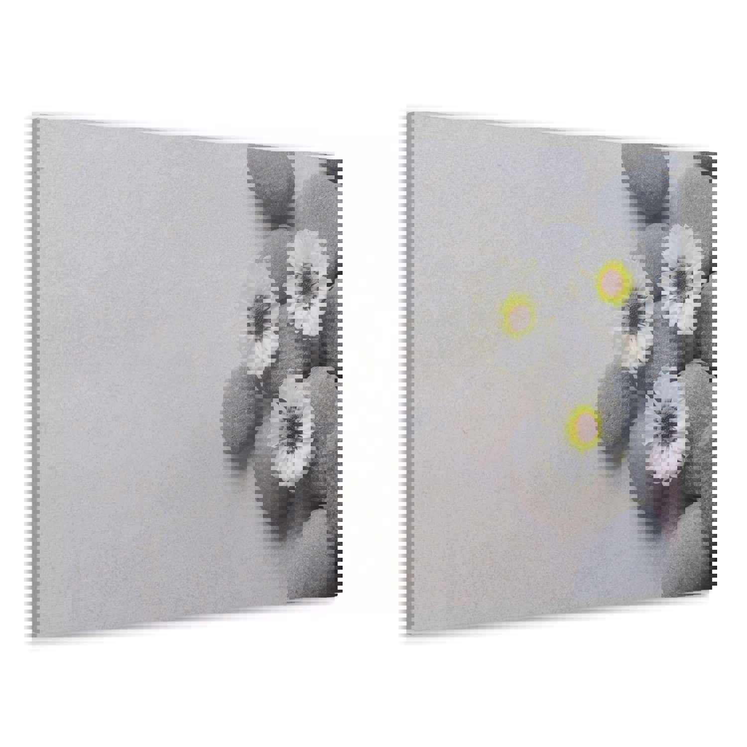 Three White Flower Forest Floral Nature Photography Canvas Wall Art for Home Decor