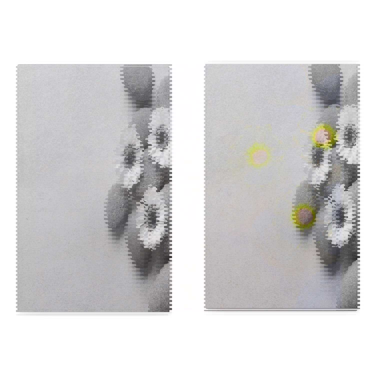 Three White Flower Forest Floral Nature Photography Canvas Wall Art for Home Decor