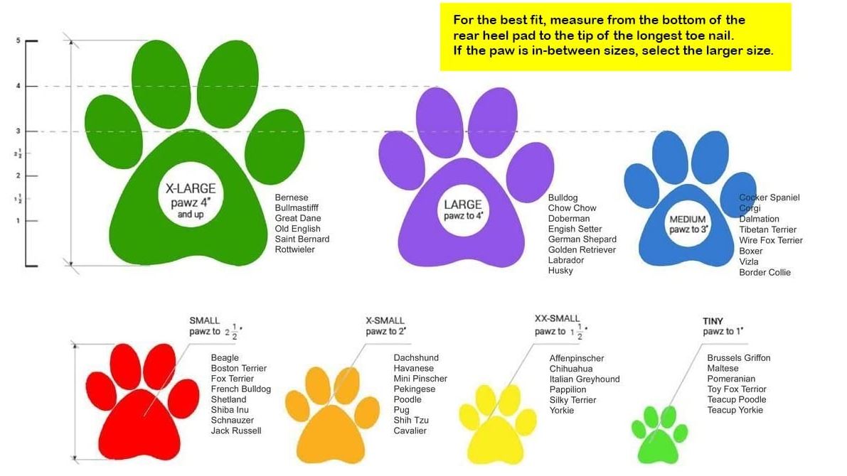 PawZ Dog Boots - Waterproof Snow Boots for Dogs (12 Pack)