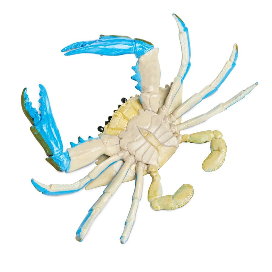 Blue Crab Toy - Hand Painted & Professionally Designed