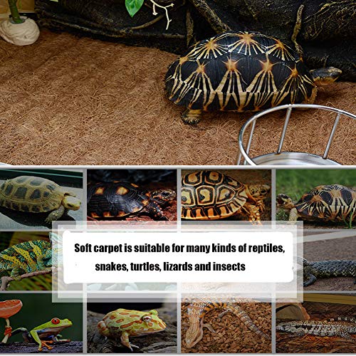 Hamiledyi Natural Coconut Fiber Reptile Carpet Mat - 2 Sheets for Terrarium Liner, Pet Bedding
