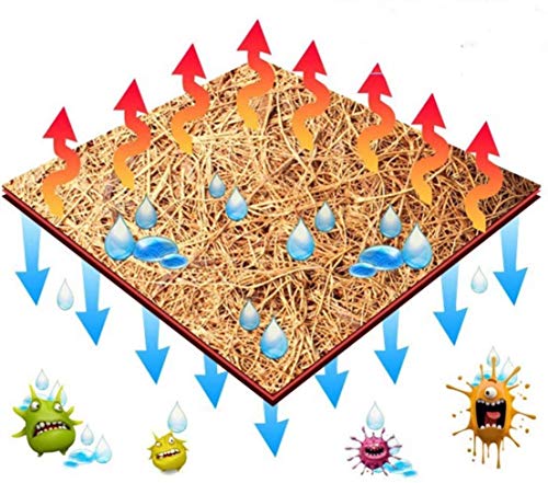 Hamiledyi Natural Coconut Fiber Reptile Carpet Mat - 2 Sheets for Terrarium Liner, Pet Bedding