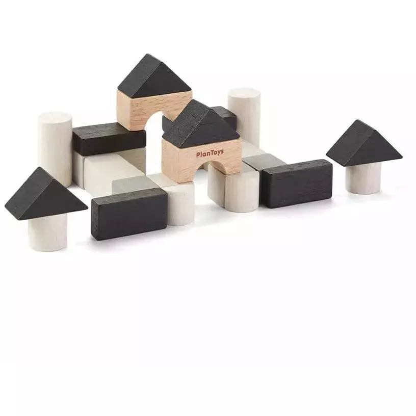 Plan Toys Construction Set - 24 Blocks with 8 Shapes for Creative Building