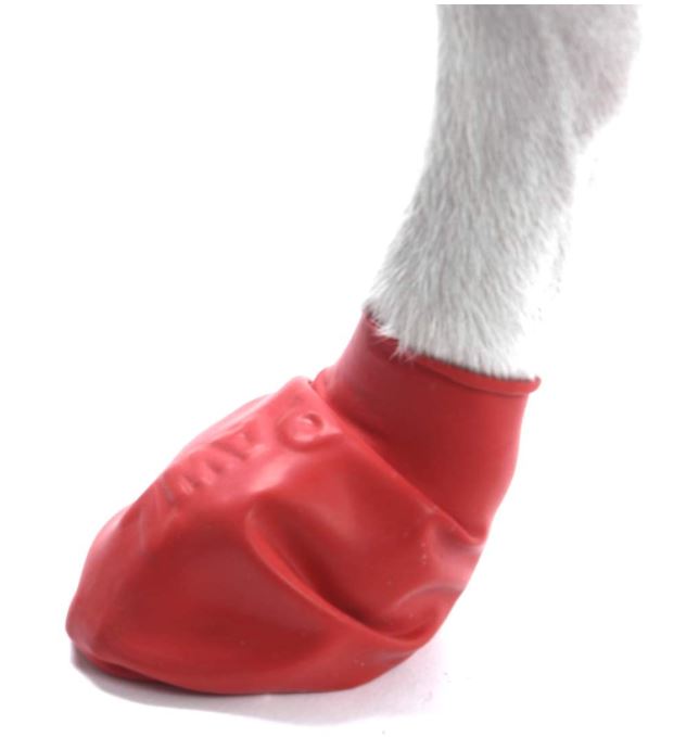 PawZ Dog Boots - Waterproof Snow Boots for Dogs (12 Pack)