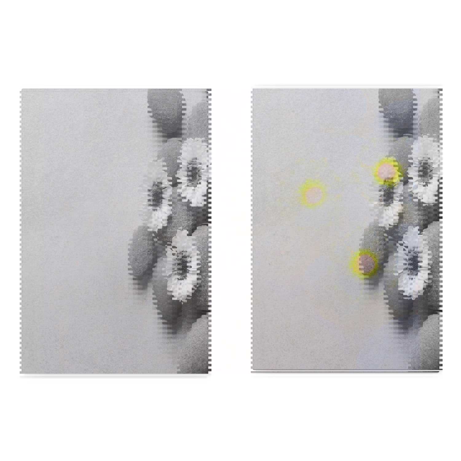 Three White Flower Forest Floral Nature Photography Canvas Wall Art for Home Decor