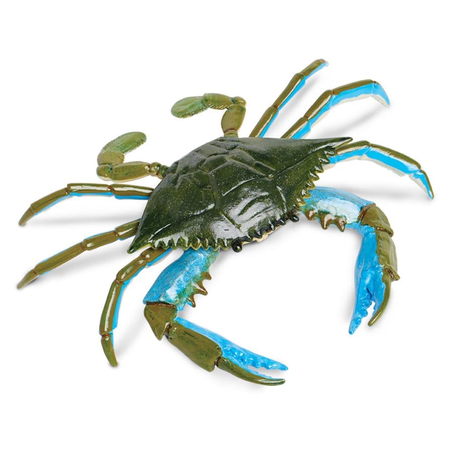 Blue Crab Toy - Hand Painted & Professionally Designed