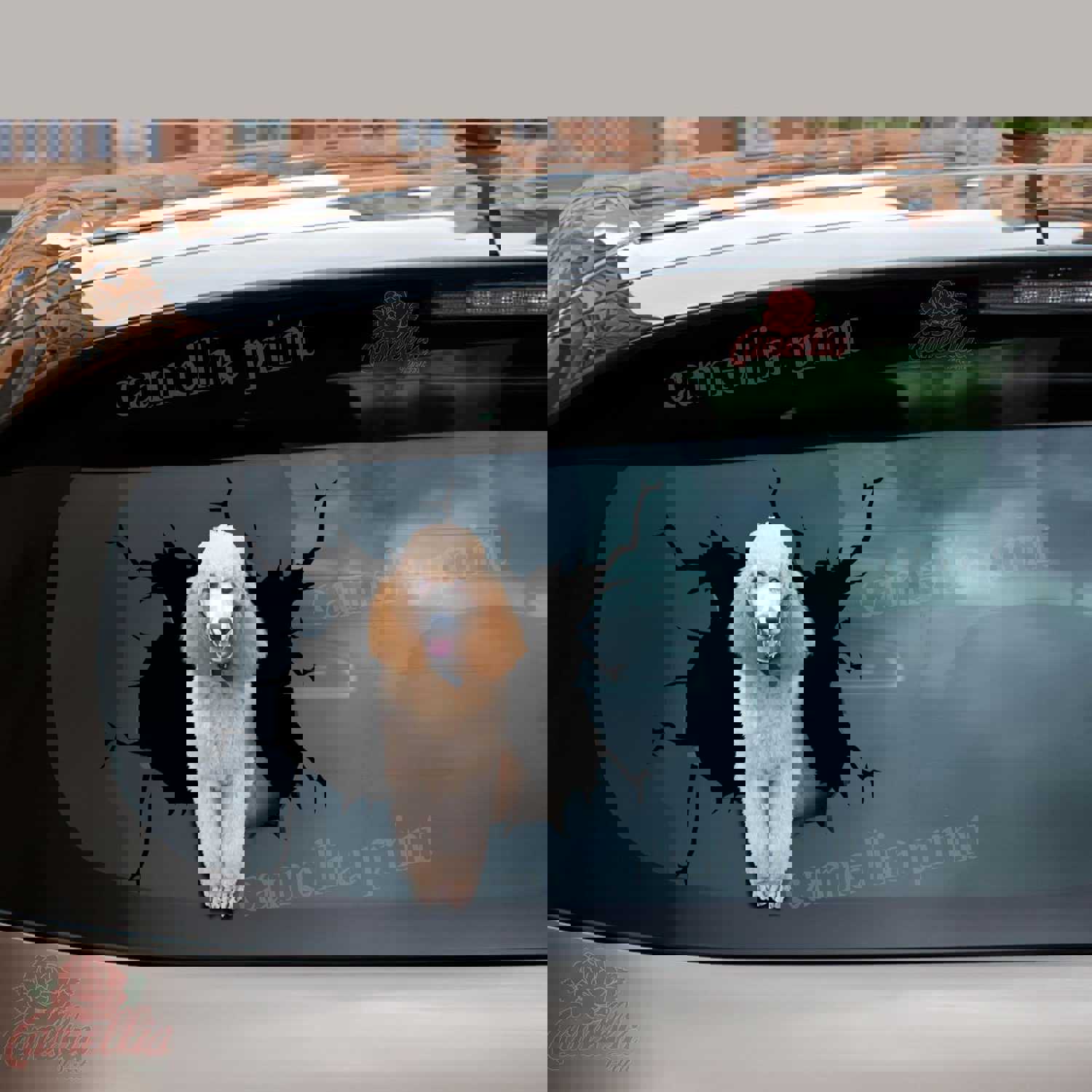 Poodle Crack Decal For Boat Cool Custom Die Cut Stickers 50th Wedding Anniversary Gifts