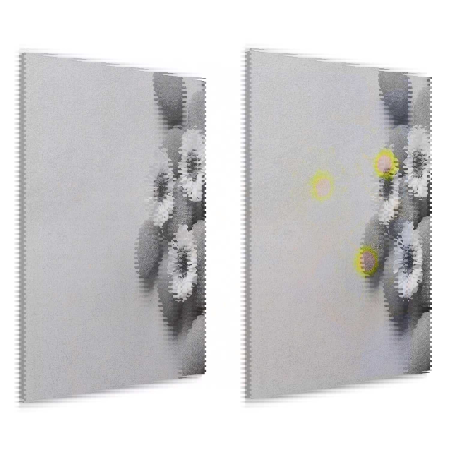 Three White Flower Forest Floral Nature Photography Canvas Wall Art for Home Decor