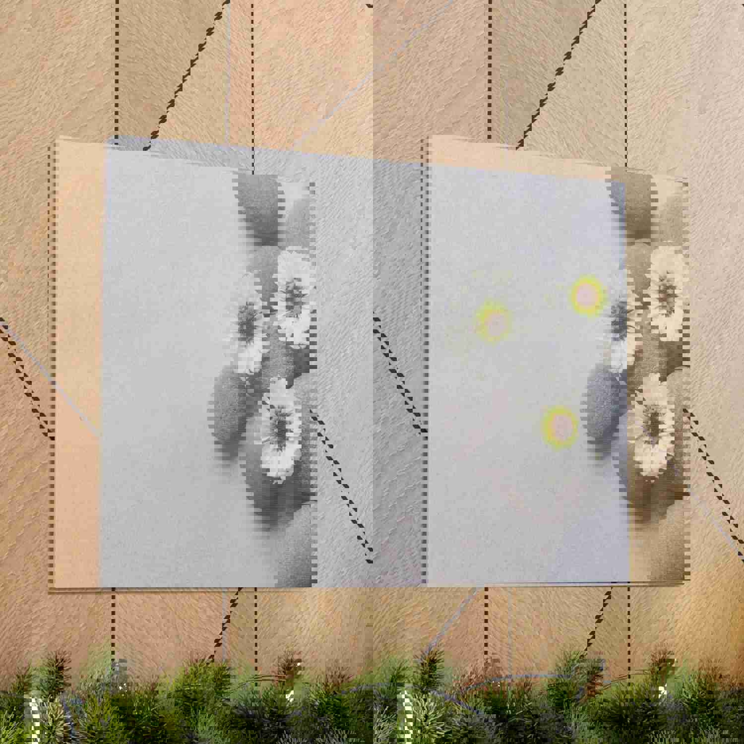 Three White Flower Forest Floral Nature Photography Canvas Wall Art for Home Decor