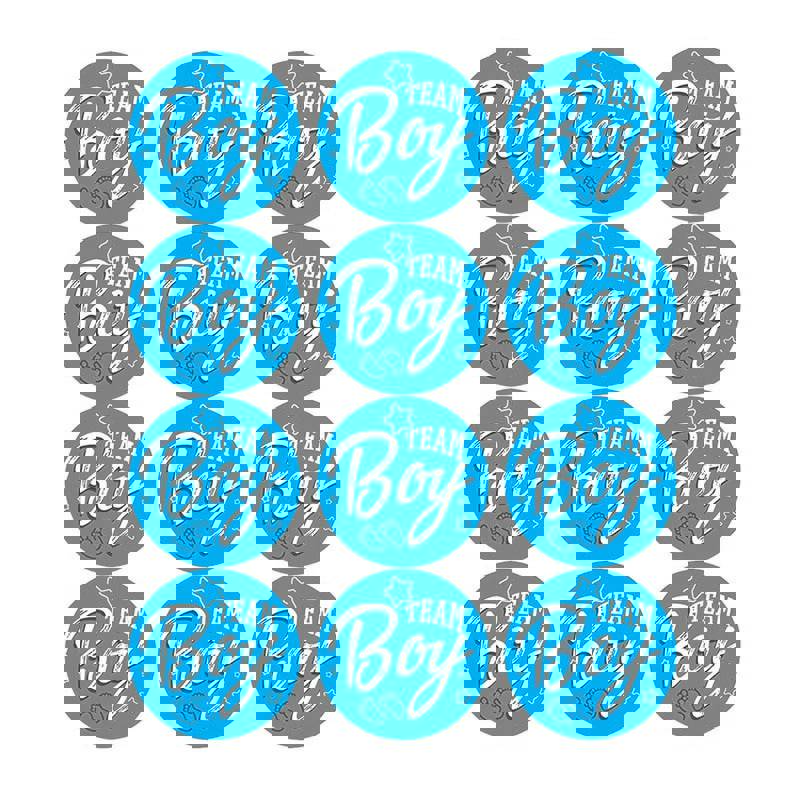 60-120 Pieces Gender Reveal Party Stickers, Baby Shower Decoration, Team Boy or Girl Stickers
