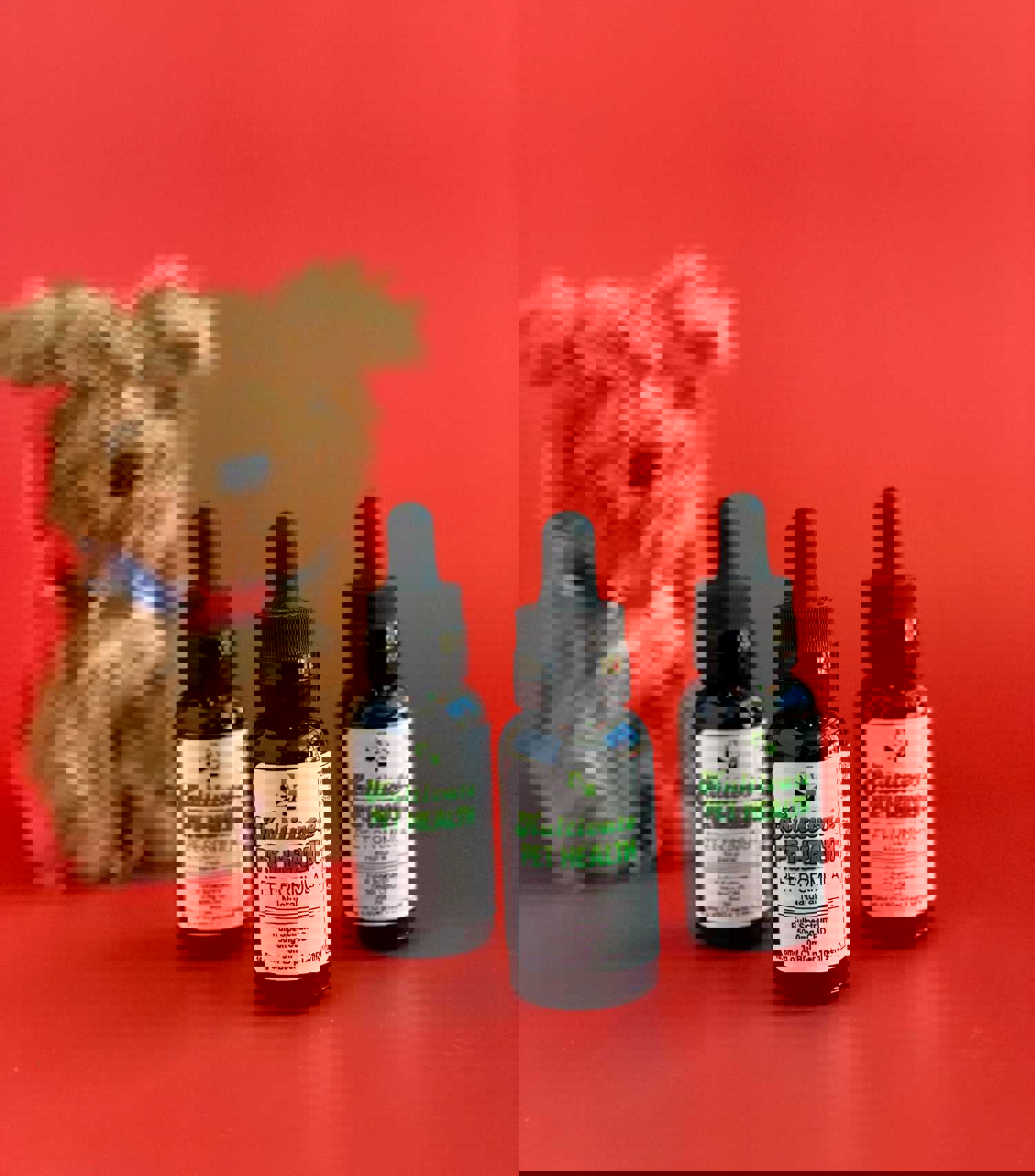 KW Pet Health CBD Oil for Pets - Full Spectrum Hemp Oil in 250mg, 500mg, 750mg