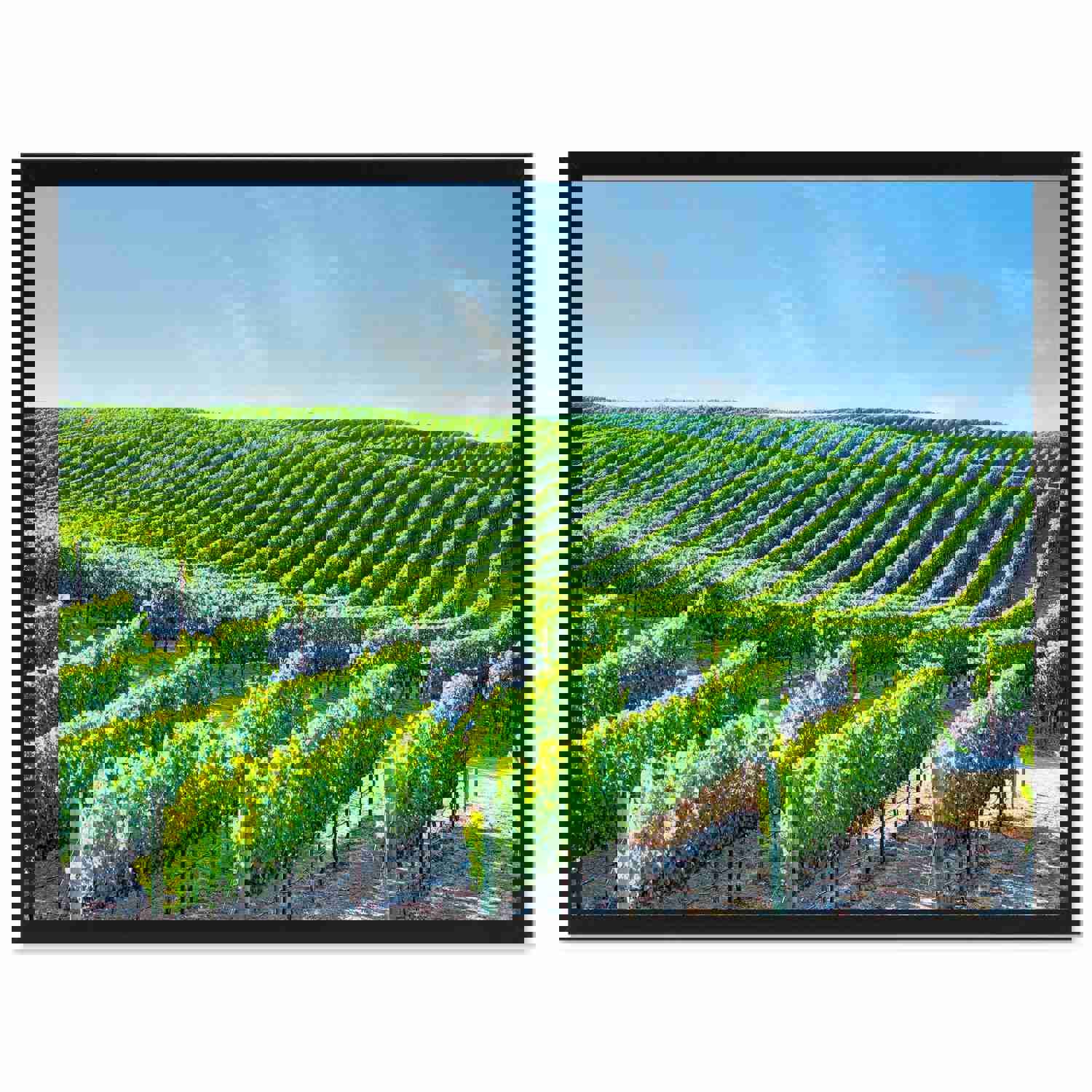 Napa Valley California Landscape Photo Canvas Print - Home Décor Wall Art