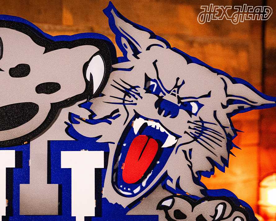 Kentucky Wildcat over UK 1989-94, 3D Vintage Metal Wall Art