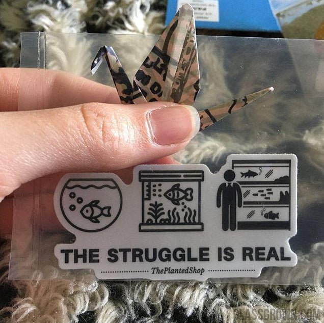 Bestselling Aquarium Decal Stickers (4 Pack)