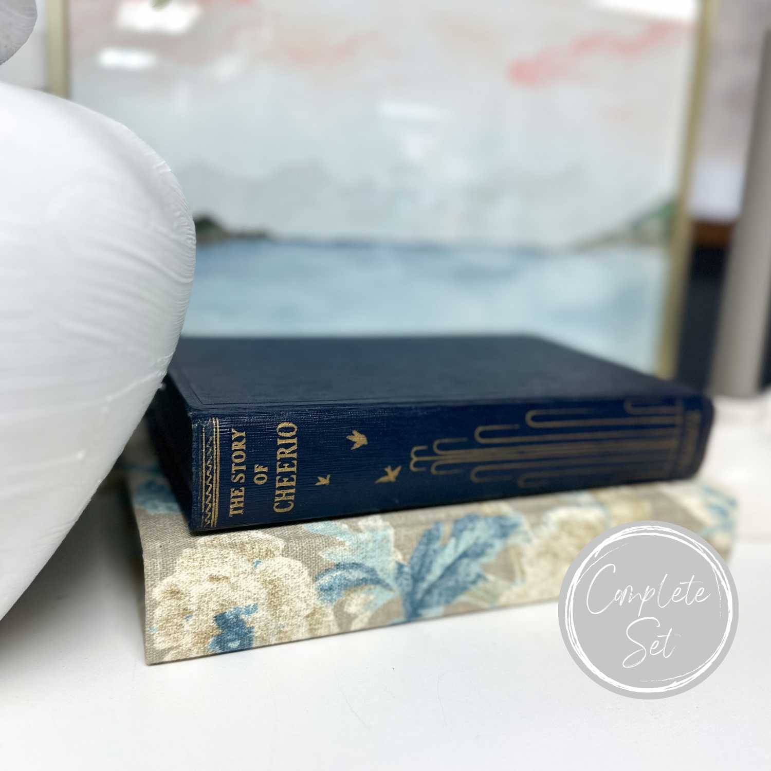 Blue Decorative Books for Shelf Decor and Home Styling