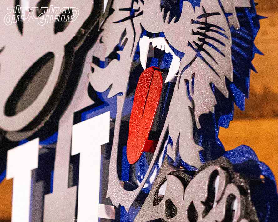 Kentucky Wildcat over UK 1989-94, 3D Vintage Metal Wall Art