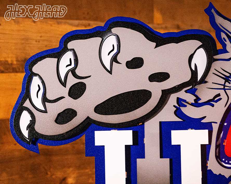 Kentucky Wildcat over UK 1989-94, 3D Vintage Metal Wall Art