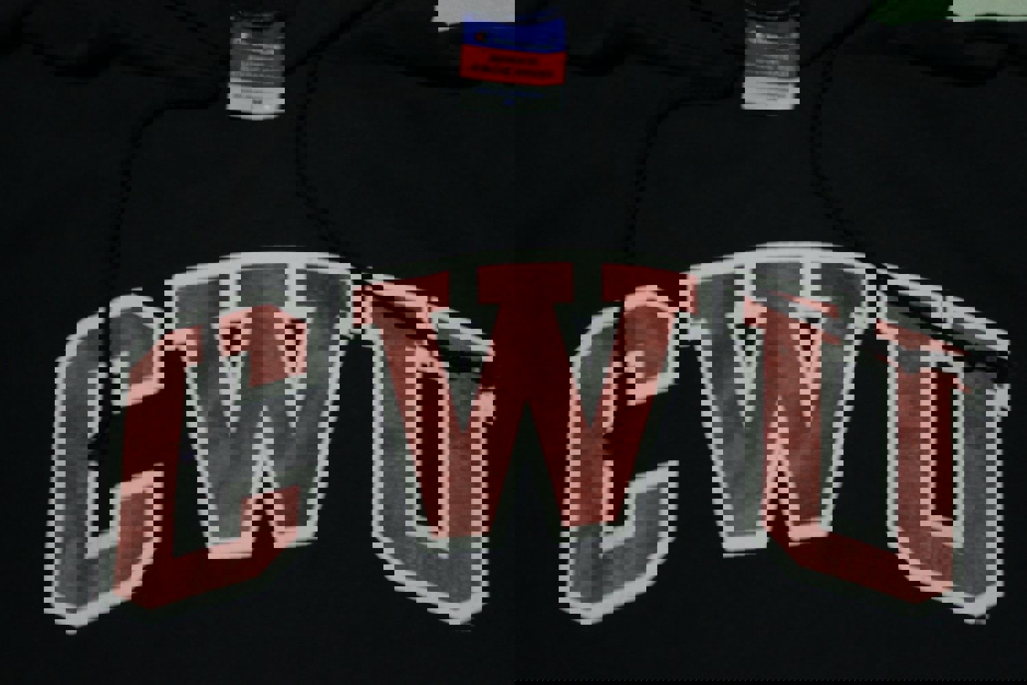 CWU Central Washington University Vintage 90s Champion Hoodie Sweatshirt