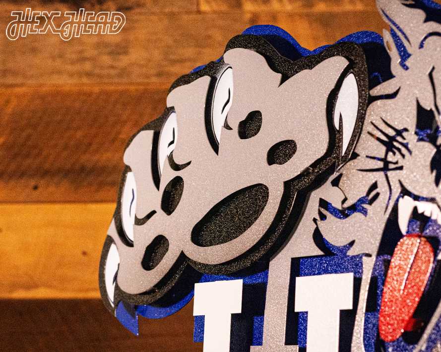 Kentucky Wildcat over UK 1989-94, 3D Vintage Metal Wall Art