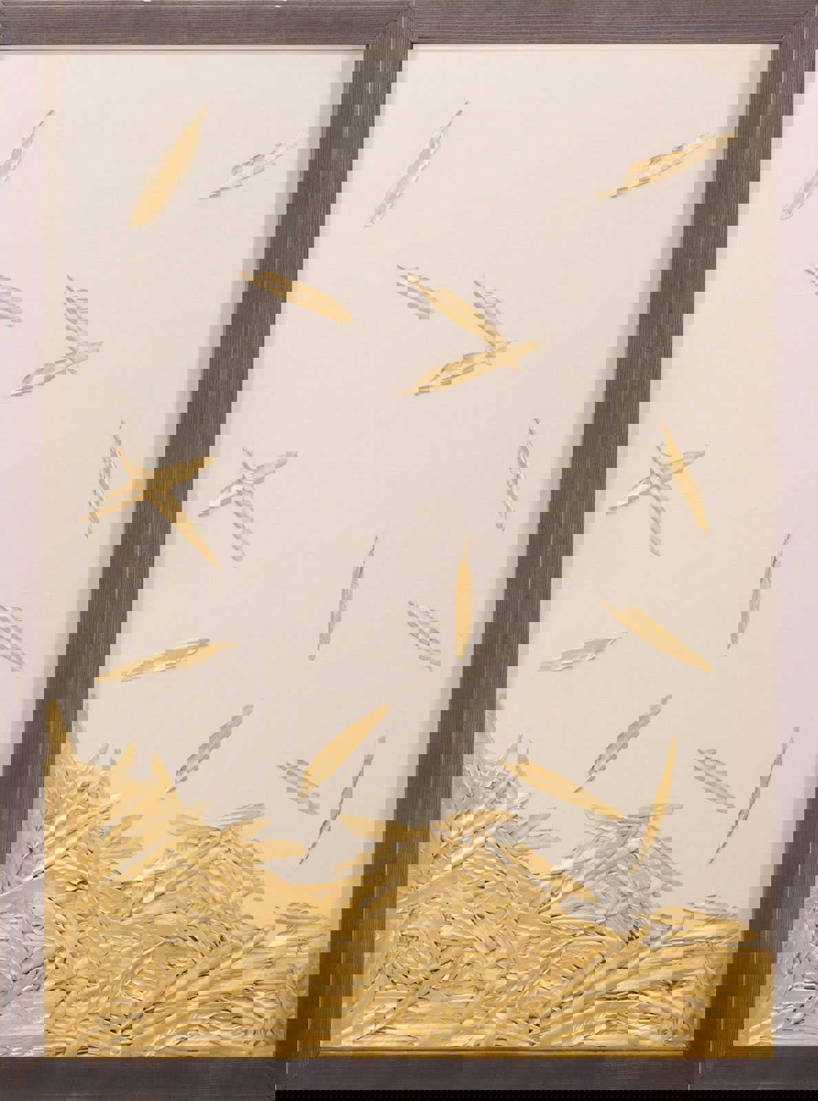 Natural Curiosities Art - Fallen Feathers Gold Painted Shadowbox