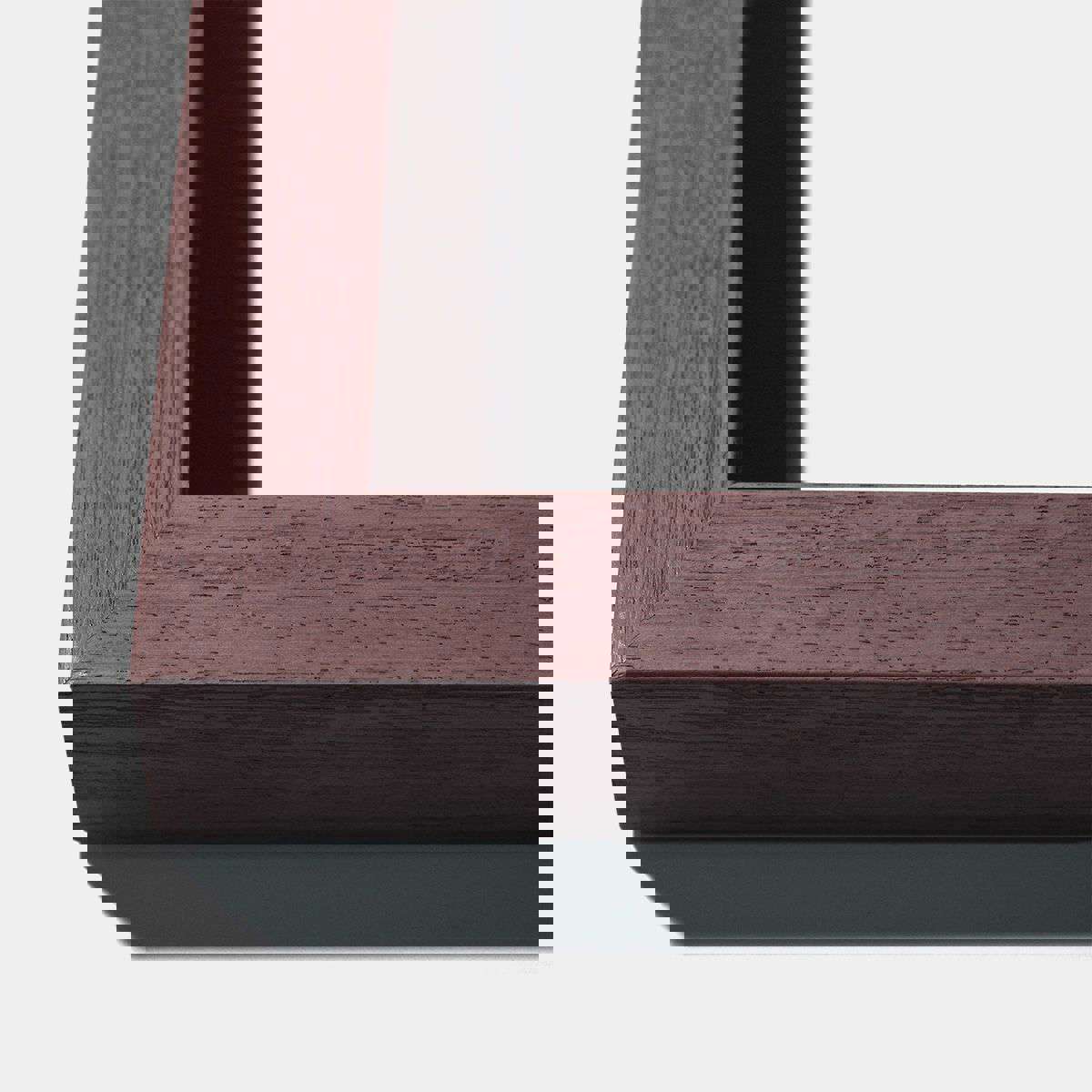 Natural Curiosities Art - Fallen Feathers 1 Shadowbox