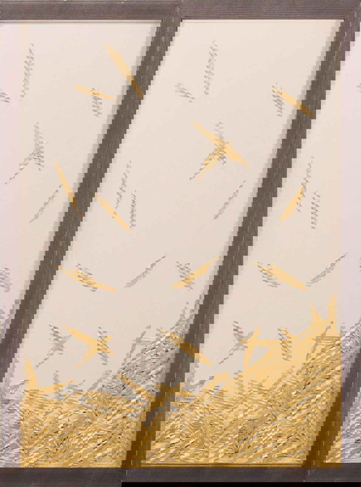 Natural Curiosities Art - Fallen Feathers 1 Shadowbox