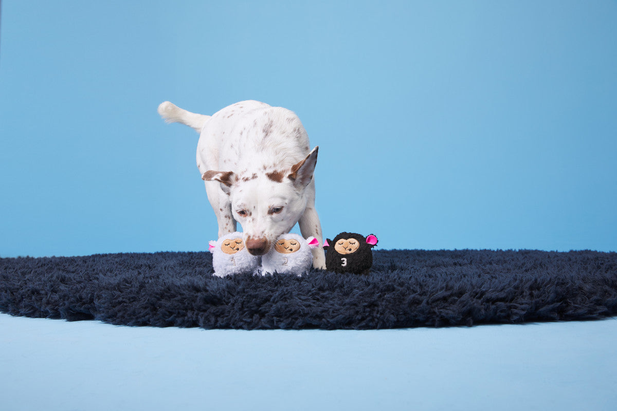 BARK Baa Baa Bark Sheep Toys for Small Dogs