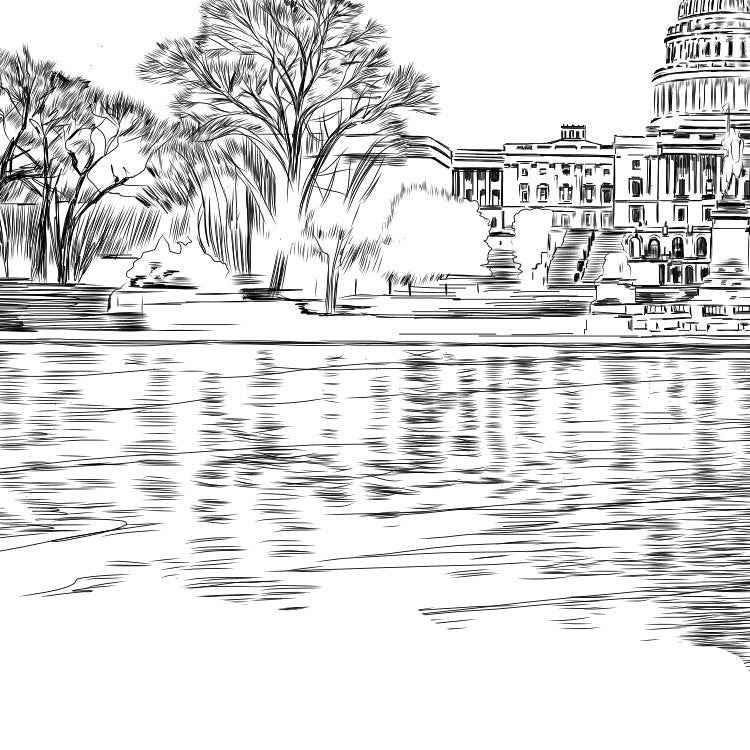 Washington D.C. Capital Wedding Guest Book - Unique Alternative Guest Book for Bridal Showers and Parties