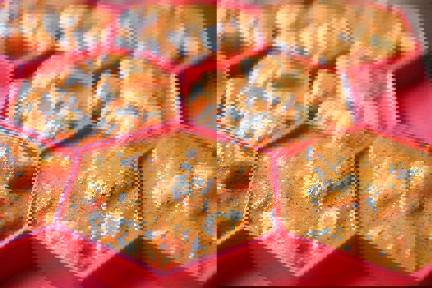 Burger Master® 8-in-1 Burger Press and Freezer Container