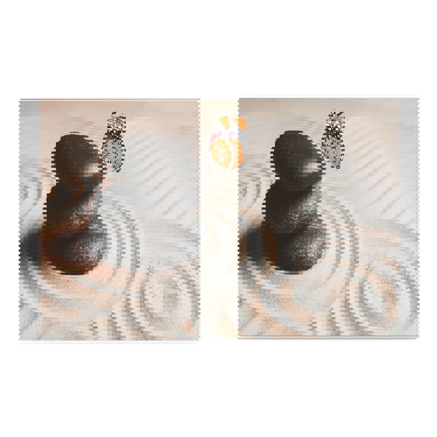 Stones on Sand Forest Floral Nature Photography Canvas Wall Art