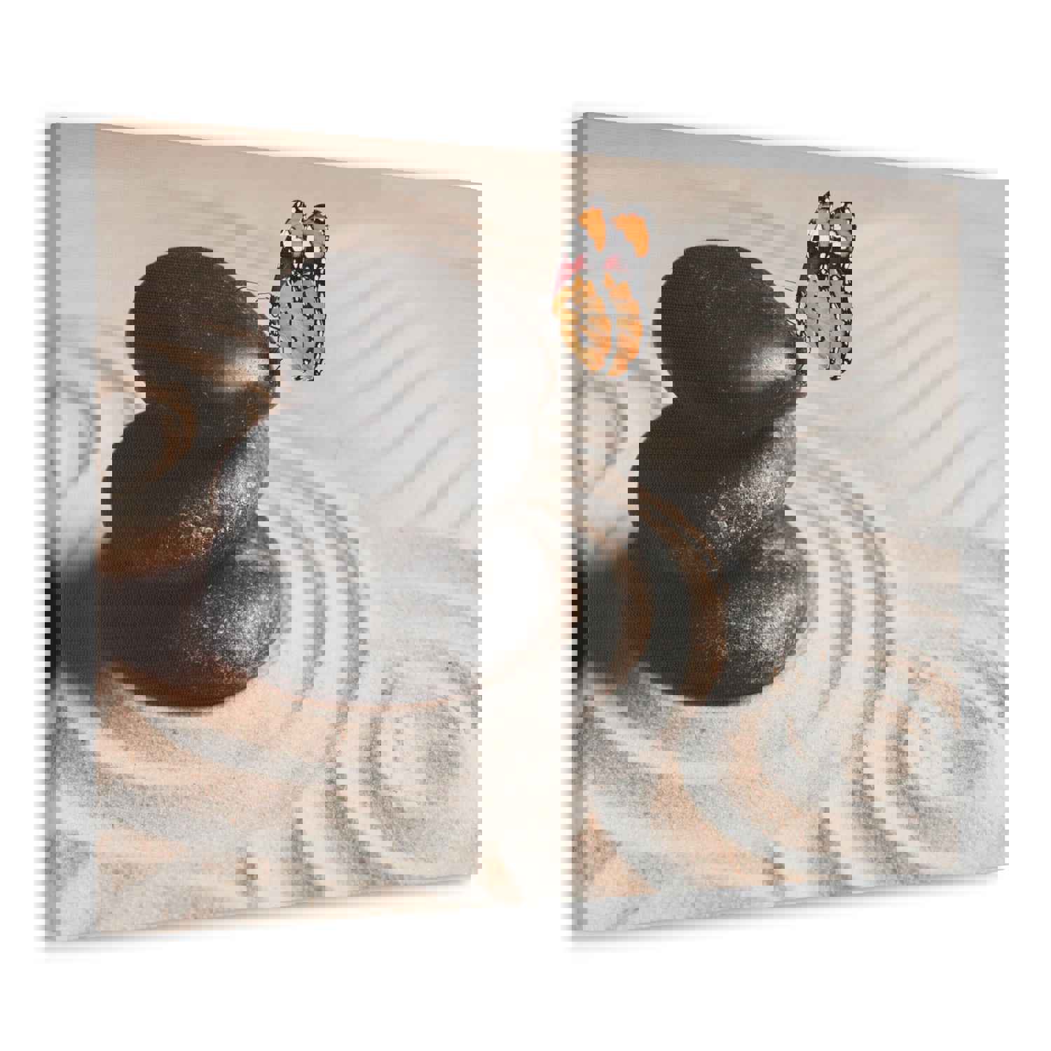 Stones on Sand Forest Floral Nature Photography Canvas Wall Art