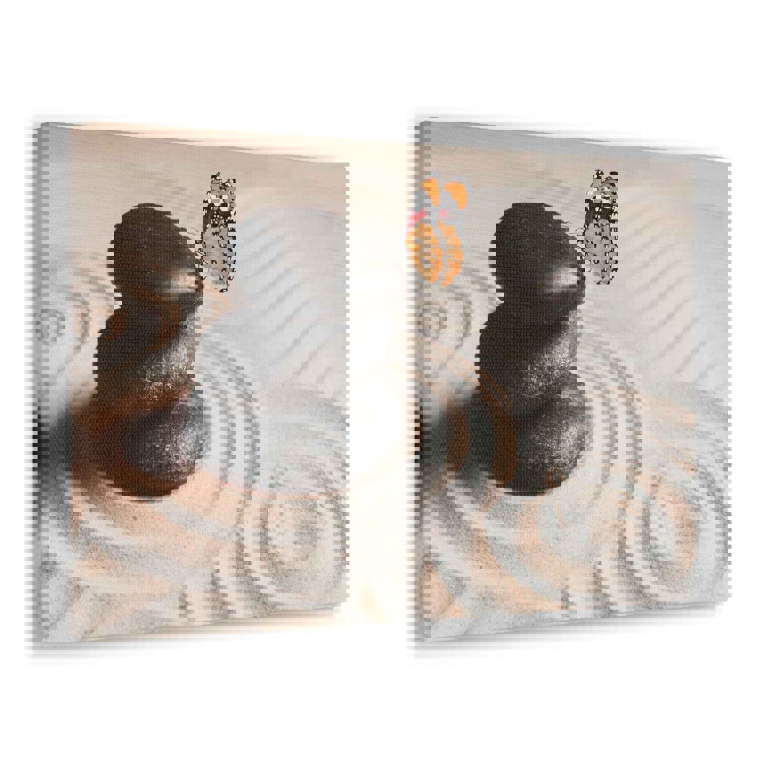 Stones on Sand Forest Floral Nature Photography Canvas Wall Art