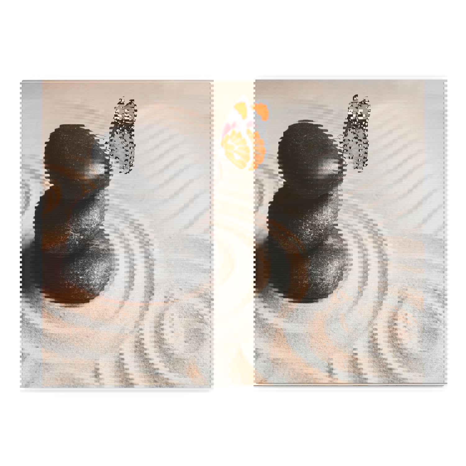 Stones on Sand Forest Floral Nature Photography Canvas Wall Art