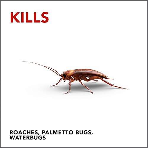 Raid Double Control Large Roach Baits - Indoor Use, 8 Count (Pack of 6), Kills Roaches for 3 Months