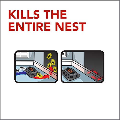 Raid Double Control Large Roach Baits - Indoor Use, 8 Count (Pack of 6), Kills Roaches for 3 Months