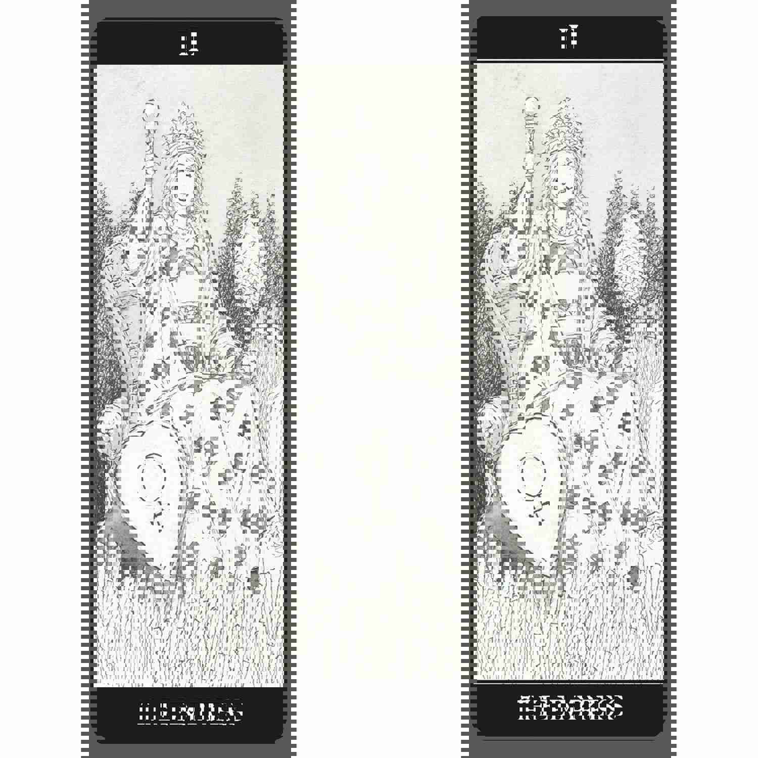 Dark Side of Tarot Kit by Corrado Roi and Sasha Graham