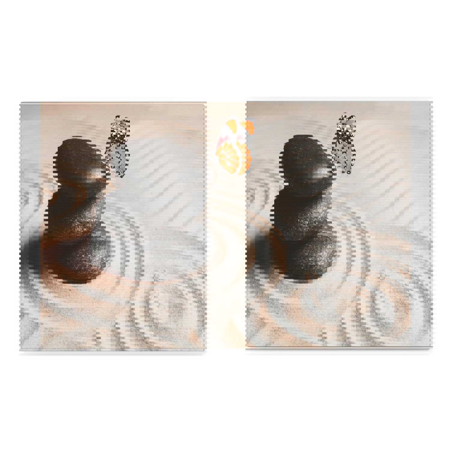 Stones on Sand Forest Floral Nature Photography Canvas Wall Art